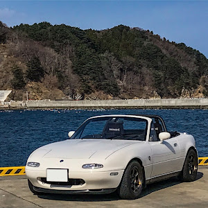 ロードスター NA8C