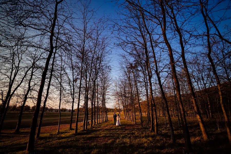 Wedding photographer Andrei Dumitrescu (andreidumitrescu). Photo of 21 November 2019