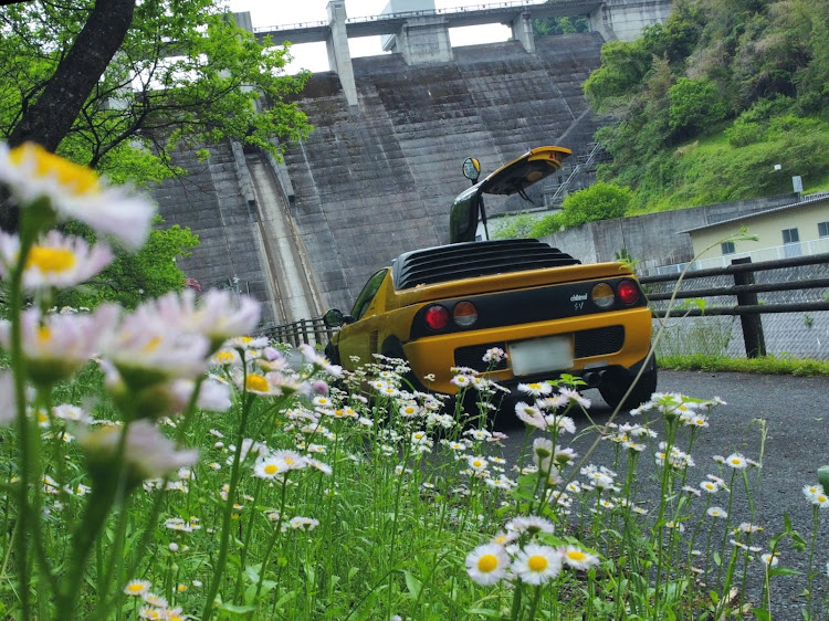 AZ-1の花と愛車・花とコラボ・ダムとコラボ・ダム活・ガルウィングに関するカスタム事例の投稿画像4枚目