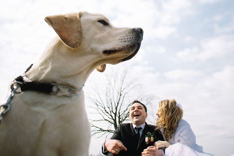 Photographe de mariage Aleksandr Shayunov (shayunov). Photo du 13 mars 2016