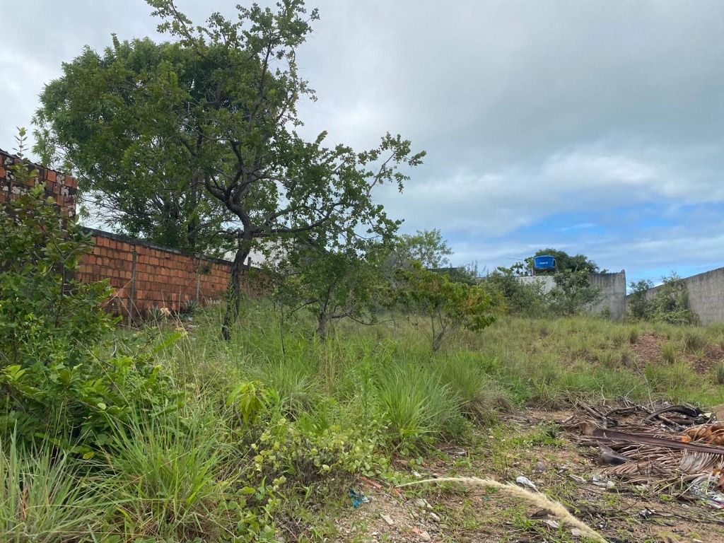 Lote 450m², murado 3 lados