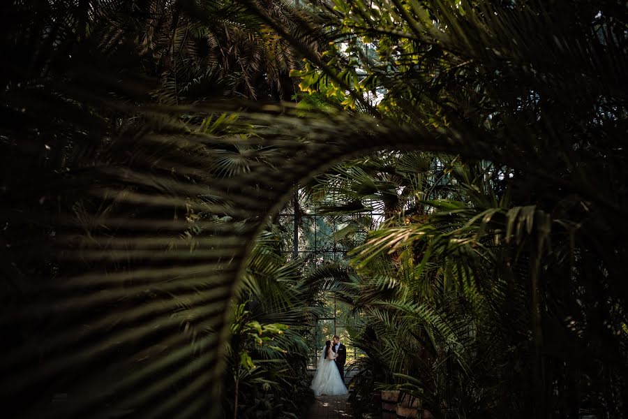 Huwelijksfotograaf Casian Podarelu (casian). Foto van 10 februari 2019