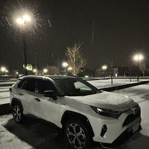 RAV4 AXAP54