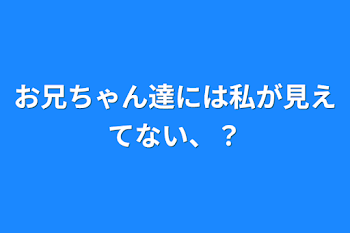 お兄ちゃん達には私が見えてない、？