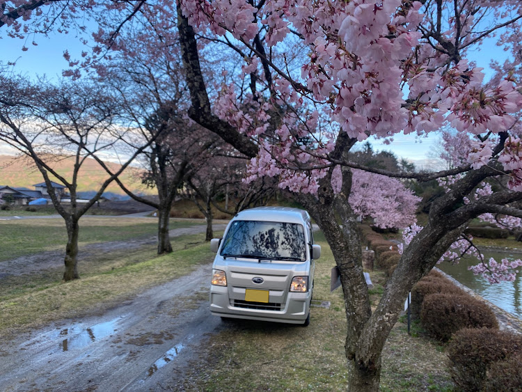 の投稿画像2枚目