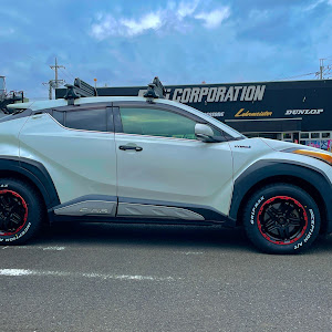 C-HR ZYX10