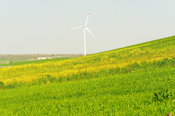 Eolico in primavera di manolina