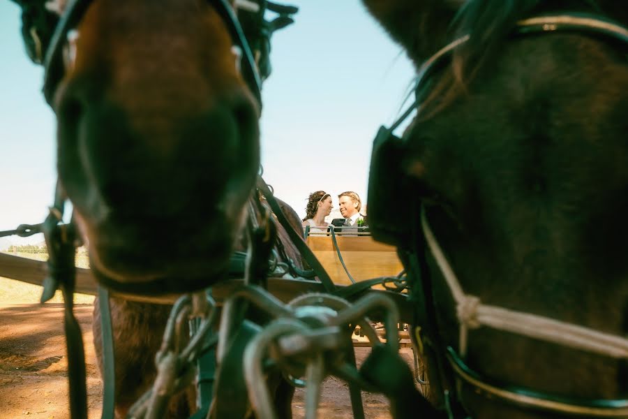 Fotografo di matrimoni Elmine Botha (elminebotha). Foto del 24 giugno 2016