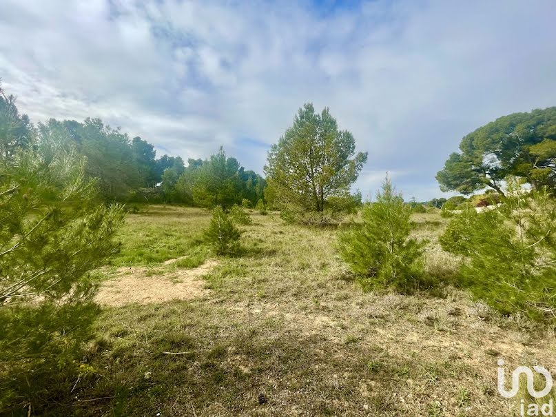 Vente terrain  399 m² à Lézignan-Corbières (11200), 71 000 €