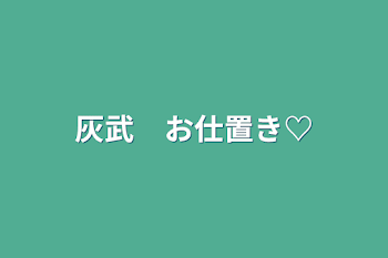 灰武　お仕置き♡