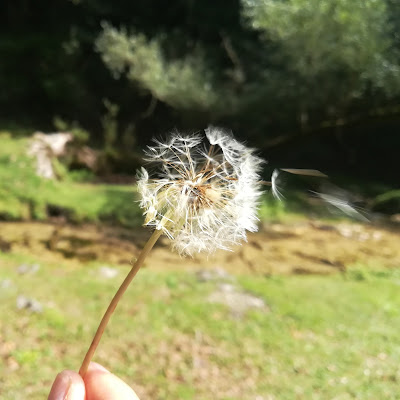 Un soffio e via di Agocentrico