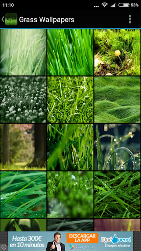 Grass Wallpapers