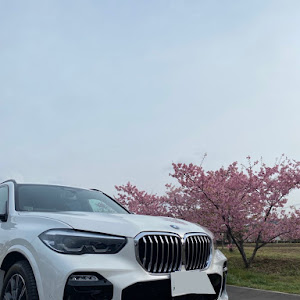 X5 xDrive 35d