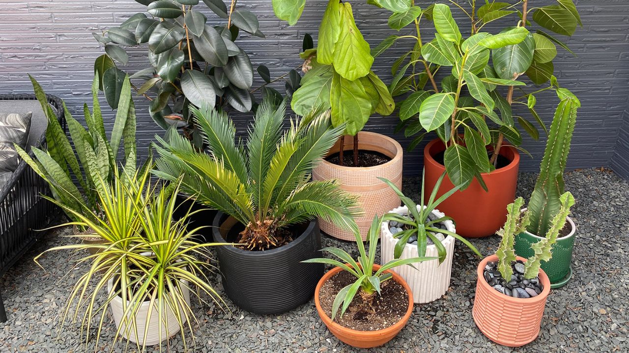 how to arrange pots in a small garden