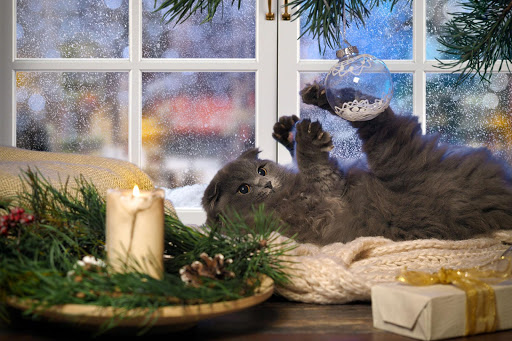 New Year Wallpaper HD  backgrounds  themes