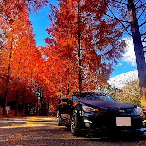BRZ ZC6