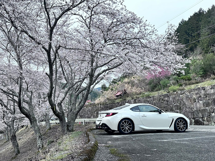 GR86のドライブ日和・桜とコラボ・サクラと愛車・桜スポット・土師ダムレーシングに関するカスタム事例の投稿画像3枚目