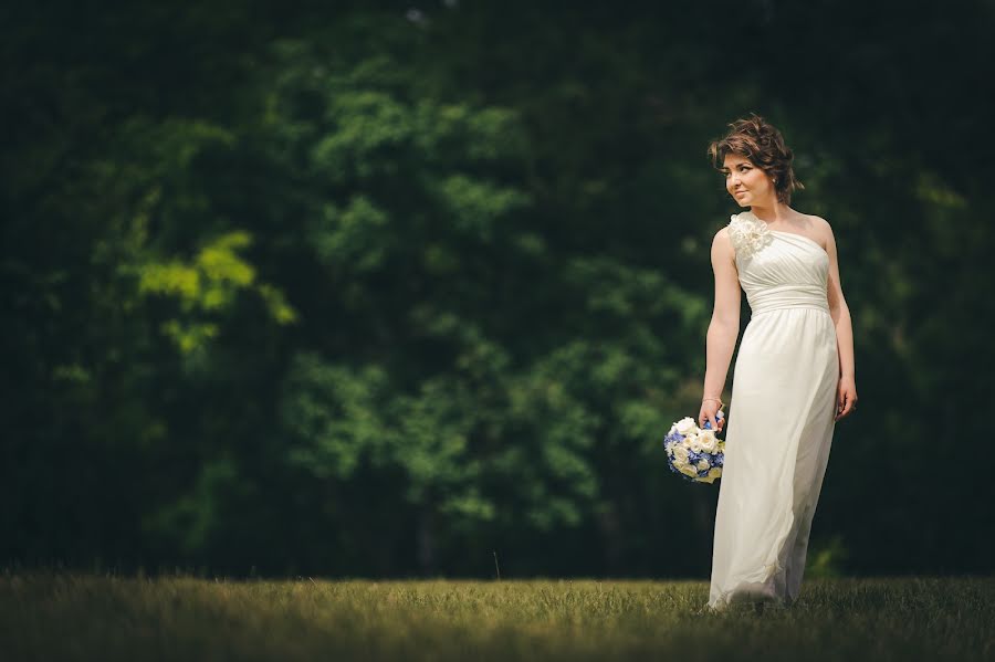 Fotógrafo de casamento Viktor Skrypnik (viktorskrypnyk). Foto de 1 de setembro 2015