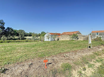 terrain à batir à Château-Guibert (85)