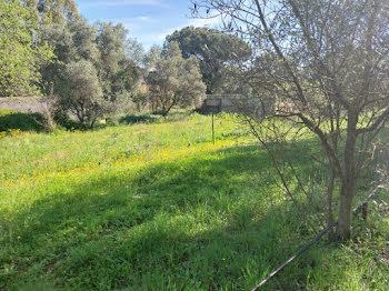 terrain à Roquebrune-sur-Argens (83)