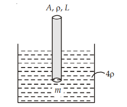 Archimedes' Principle