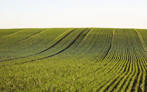 Endless Fields screenshot 1