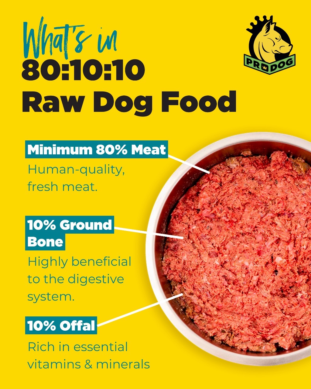 raw dog food