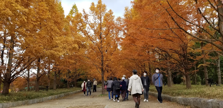 の投稿画像11枚目