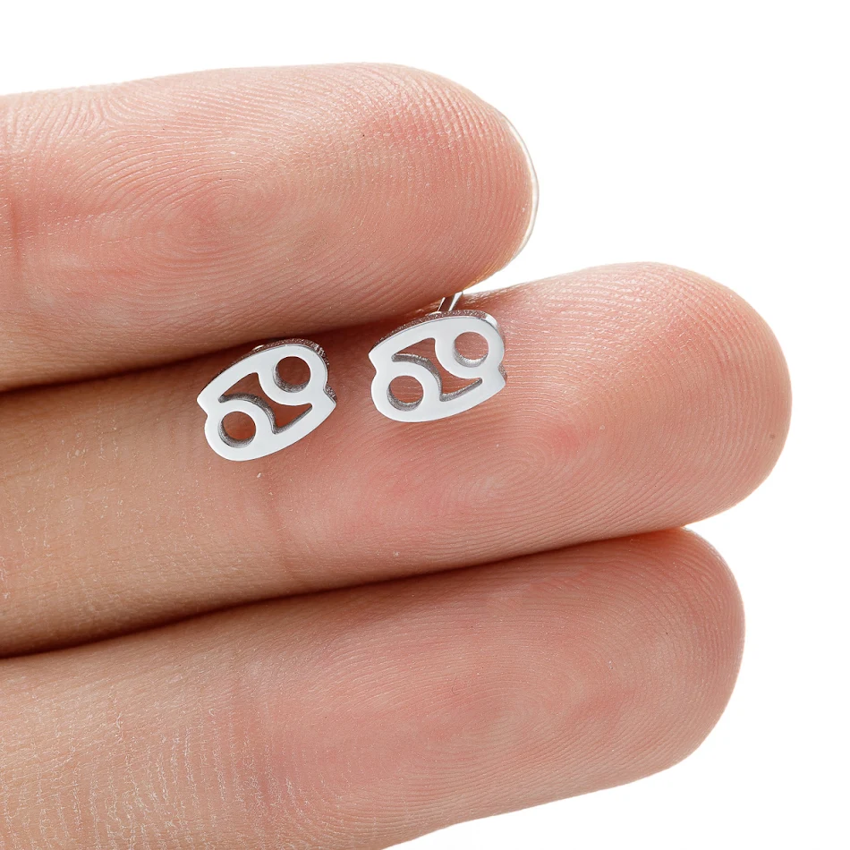 Pendientes de acero inoxidable con doce constelaciones para mujer, ideales como regalo de moda. Disfruta tu signo zodiacal con estilo y elegancia.