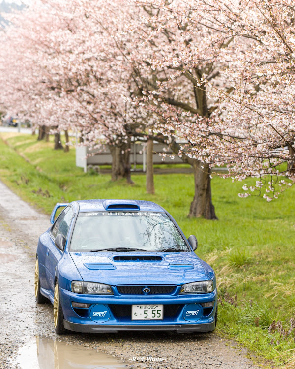 インプレッサ WRXのgc8・桜と愛車に関するカスタム事例の投稿画像2枚目