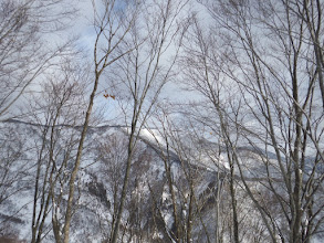 大ダワに陽の光