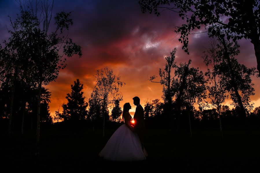 Photographe de mariage Dmitriy Yurash (luxphotocomua). Photo du 3 octobre 2018