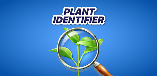 Plant Identifier App