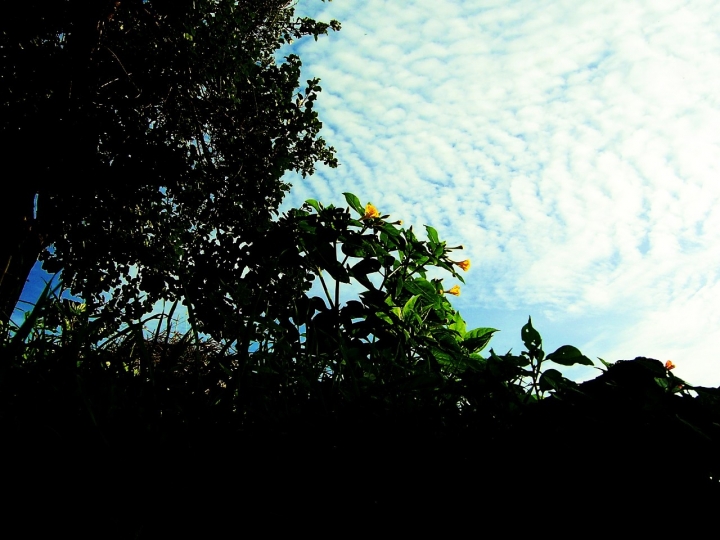 Natura e cielo al di sopra di noi di argimusco