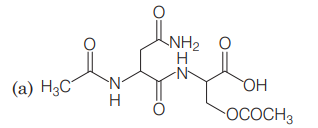 chemical reactions of amines