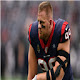 J. J. Watt Themes & New Tab