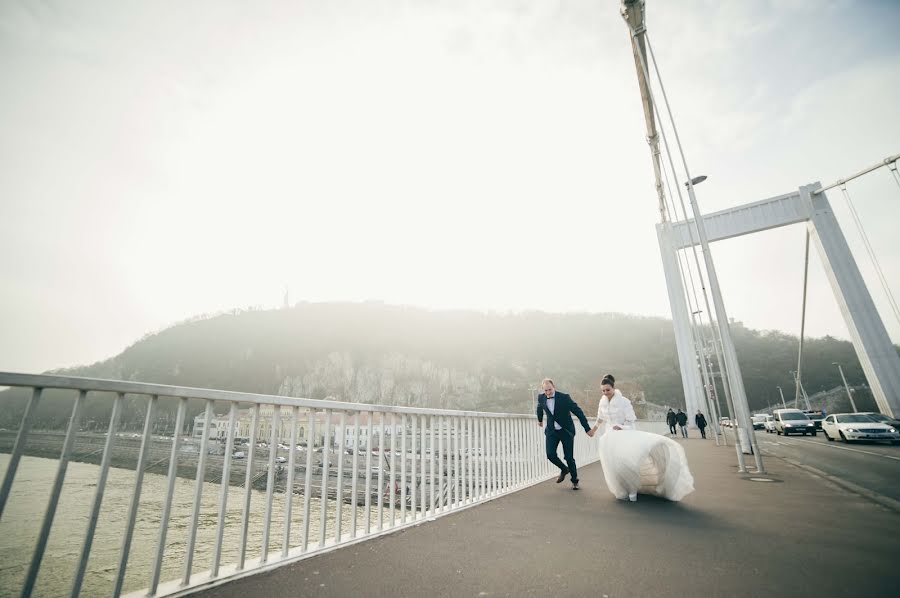 Fotógrafo de bodas Pasha Tovtin (ptovtyn). Foto del 19 de enero 2016