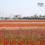 Sunny Queen陽光皇后義式餐廳(SKM PARK)