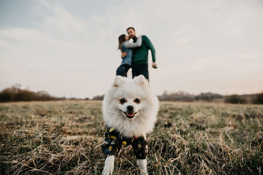 Fotografo di matrimoni Mariya Zhandarova (mariazhandarova). Foto del 16 aprile 2020