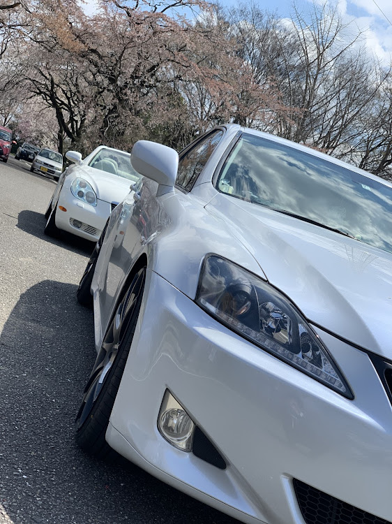 SCの桜・ドライブに関するカスタム事例の投稿画像3枚目