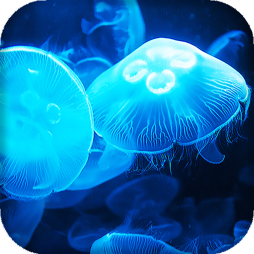 Jellyfish Live Wallpaper 7fon Lwp Google Play のアプリ