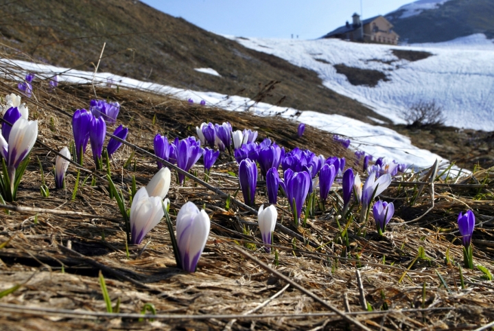 L'ultima neve di fotozaifeltre