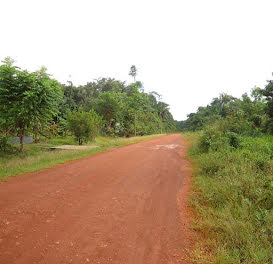 terrain à Roura (973)