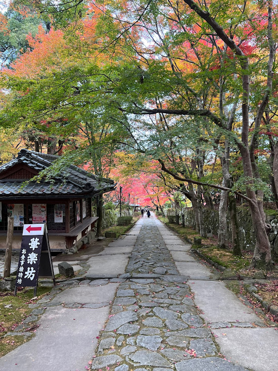GR86の鞍掛峠・朝ラー🍜・金剛輪寺・オカモトタンメン・バリバリジョニーに関するカスタム事例の投稿画像8枚目