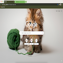 Cat- Themeforchrome