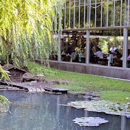 菁芳園 Tenway Garden／花園餐廳／落羽松