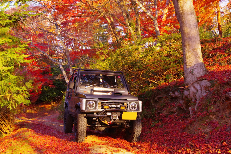 ジムニーの紅葉ドライブ・紅葉も見納め🍁・林道写真部・教えたくなる場所に関するカスタム事例の投稿画像1枚目