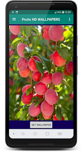 Fruits HD Wallpapers(圖3)-速報App