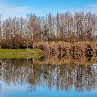 Riflessioni al Lago 