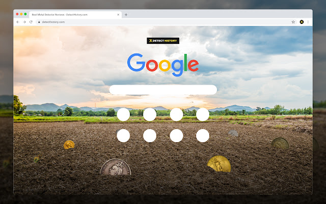 Detect History - Metal Detecting Field chrome extension
